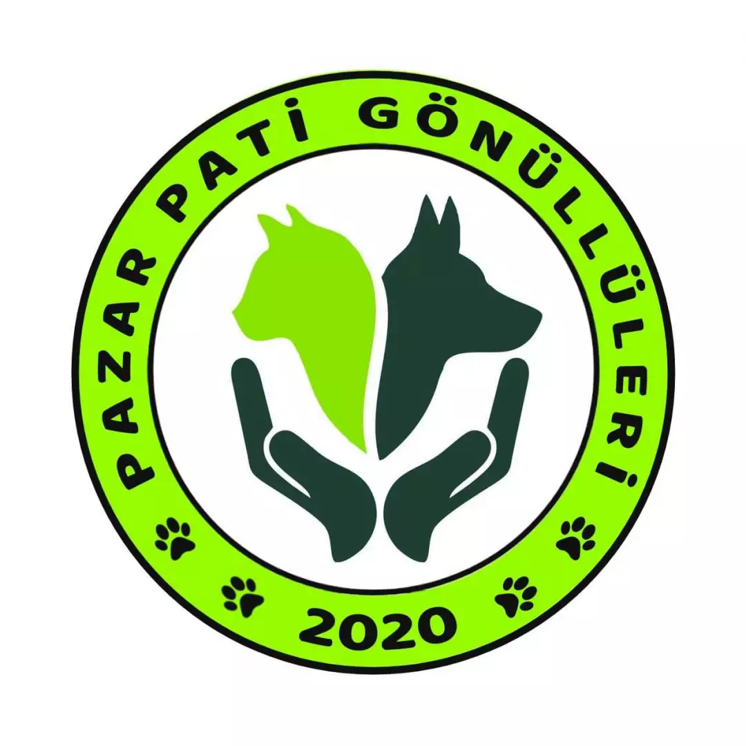 Pazarpatigonulluleri