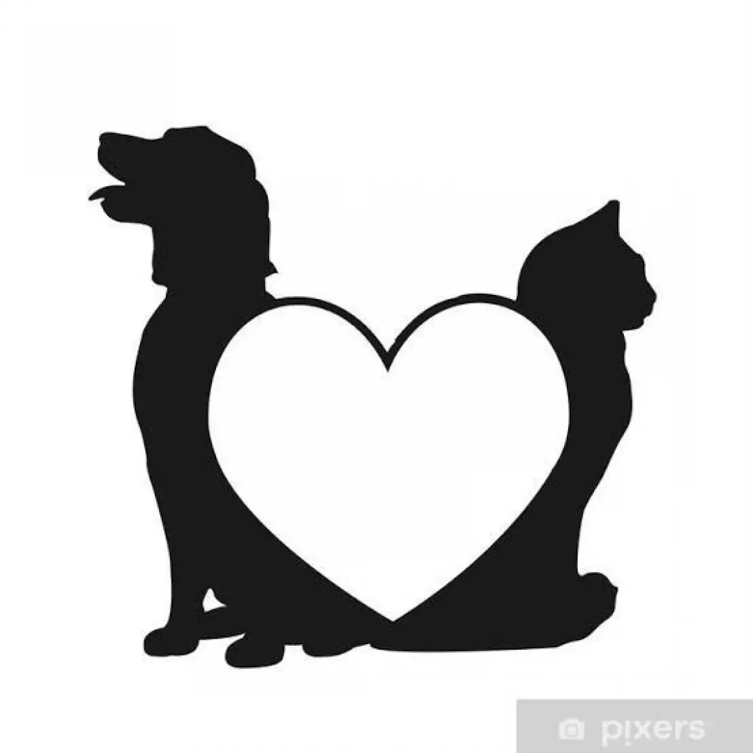 Çankaya Yıldız Patileri