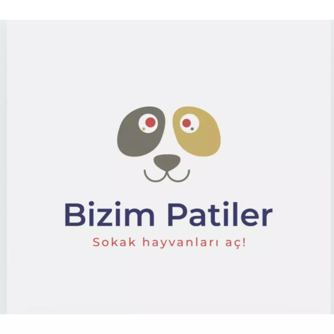 Bizim Patiler