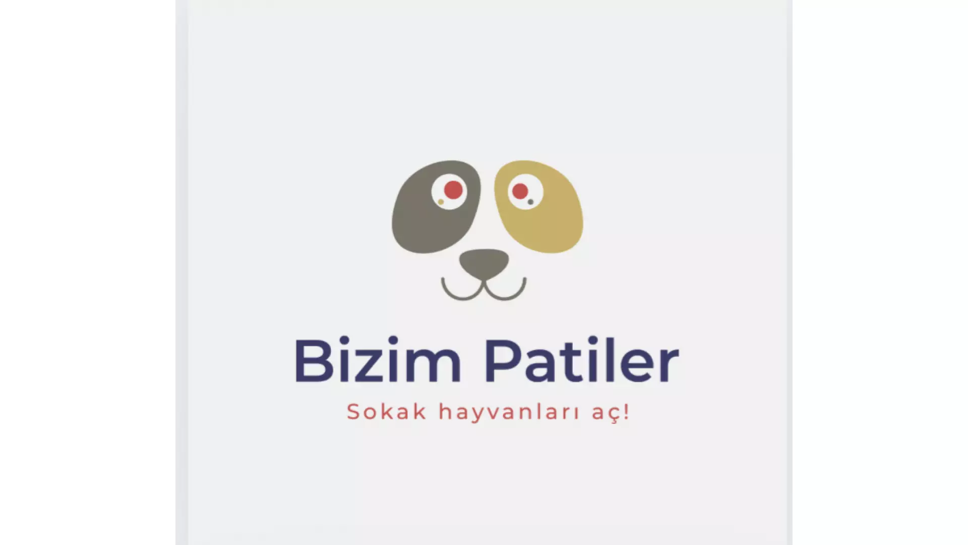 Bizim Patiler