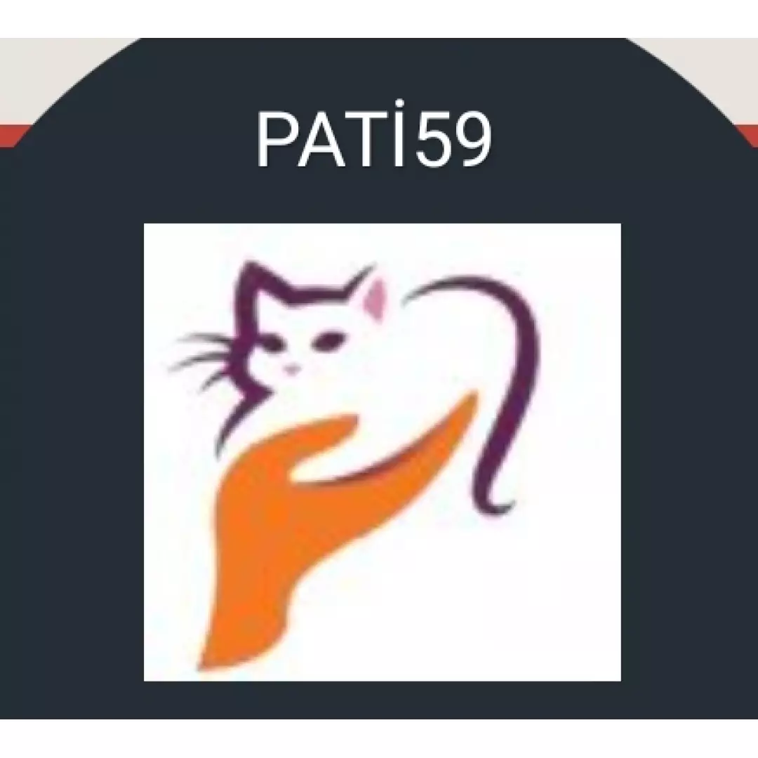 PATİ59