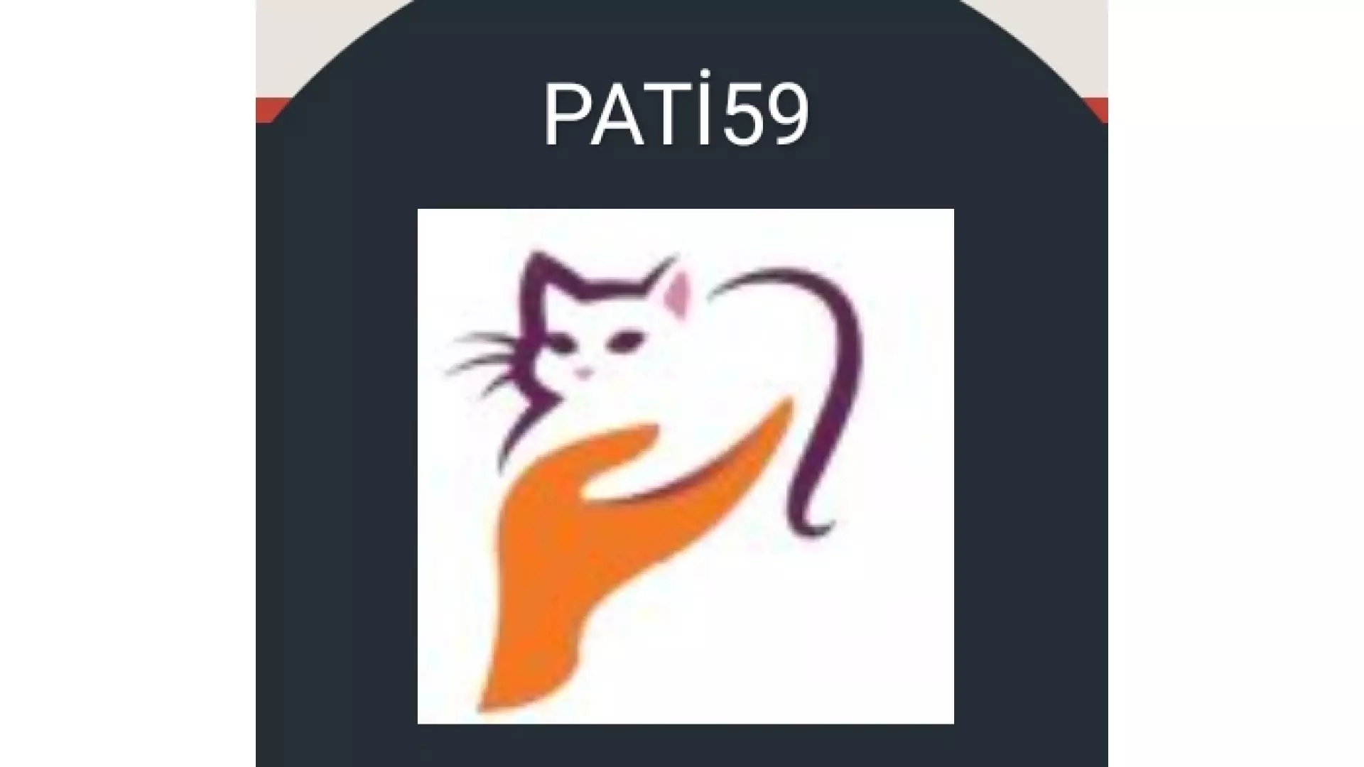 PATİ59