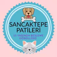 Sancaktepe Patileri