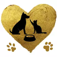 Vildan_Anne_Istanbul