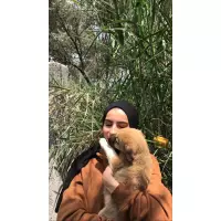 Yagmur’un Patileri