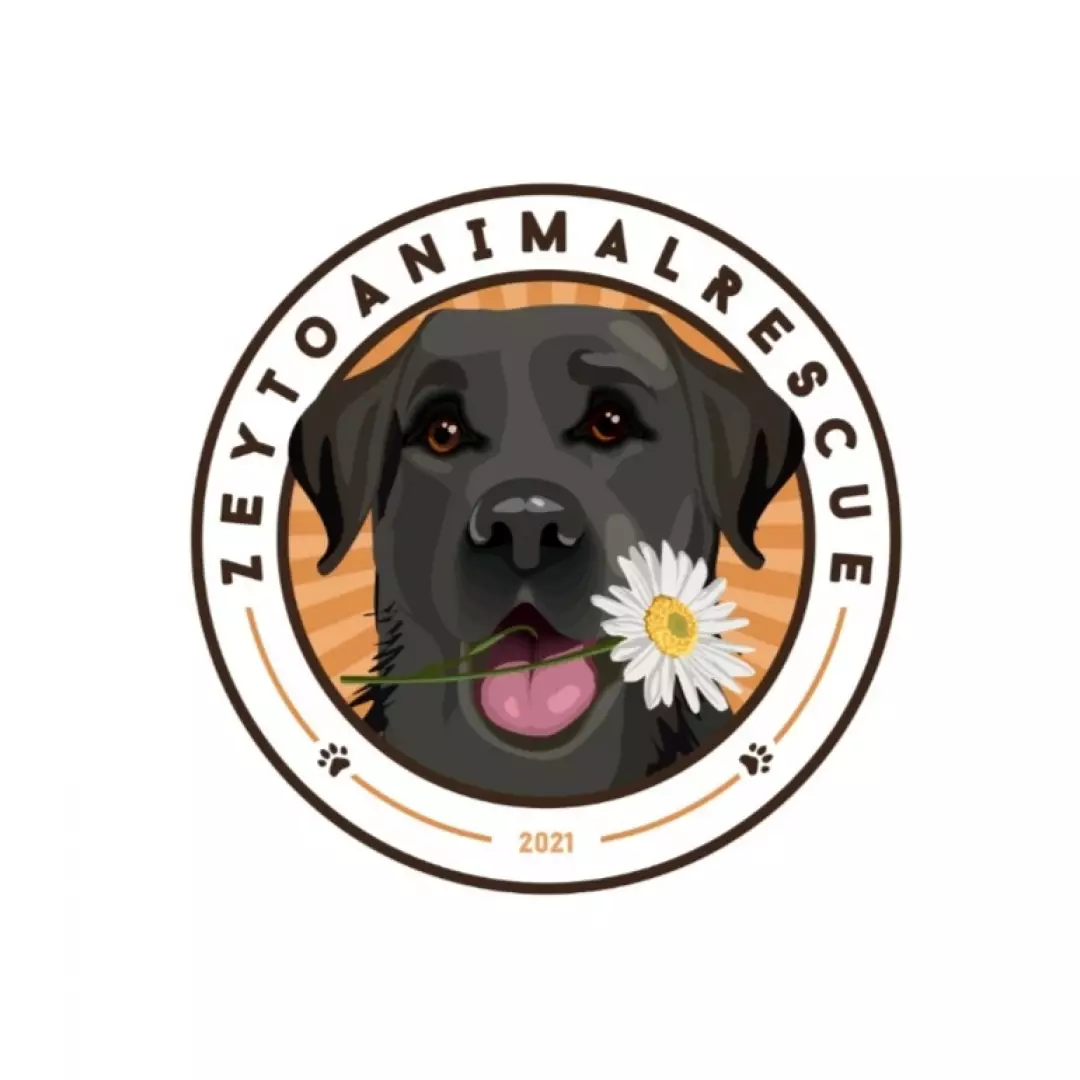 Göksun Çam Sokak Canları