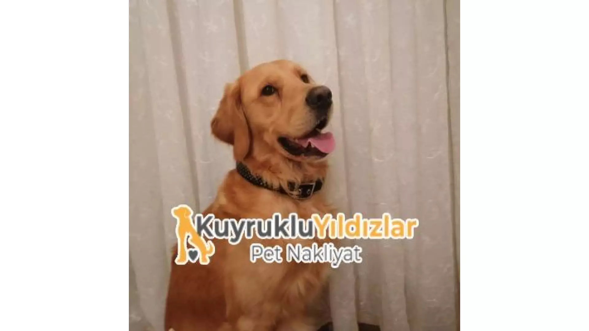 Kuyruklu Yıldızlar