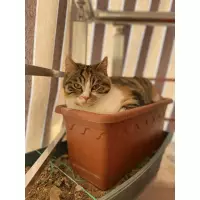 ❤️ PATİ ❤️ Isparta