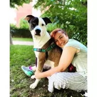 Bono’nun Kumbarası