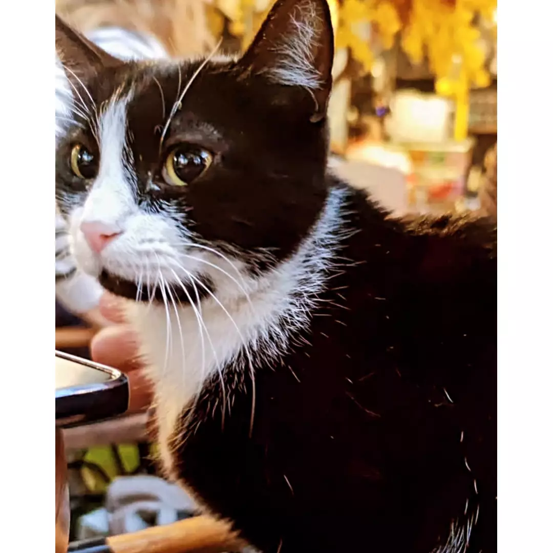 Tuğçenin Kumbarası