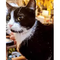 Tuğçenin Kumbarası