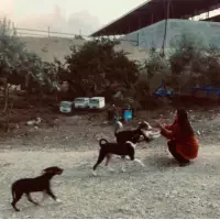 Nurdan’ın Patili Dostları