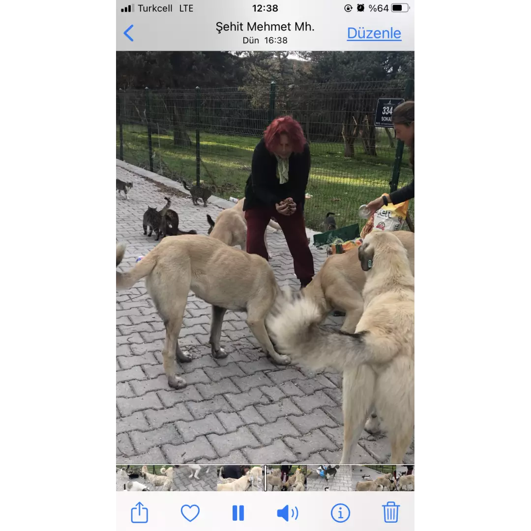 Pırlanta Güler Abla