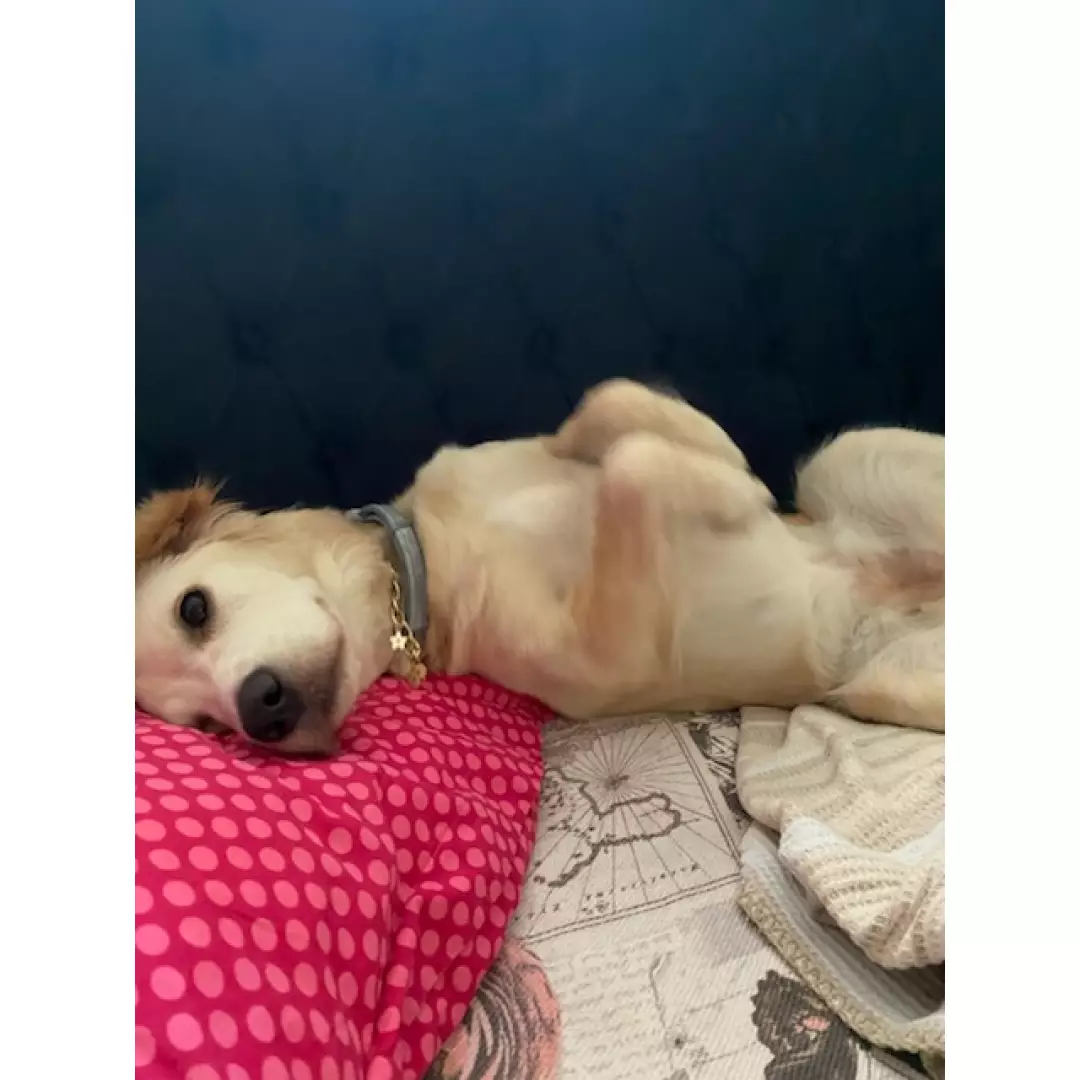 Lunanın Dostları Kırklareli