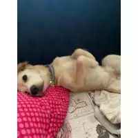 Lunanın Dostları Kırklareli