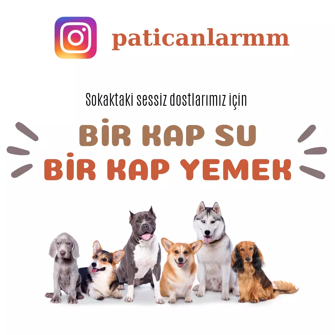 PATİ CANLARIM