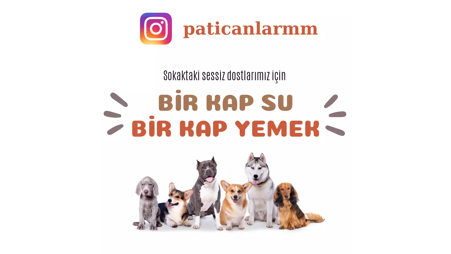 PATİ CANLARIM