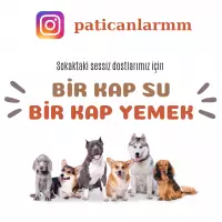 PATİ CANLARIM