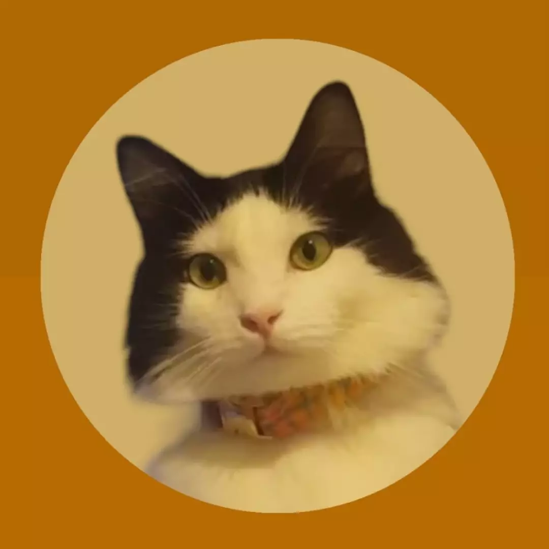 Melektoş ve Dostları