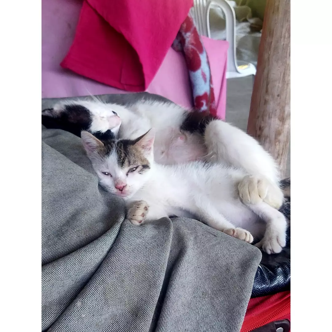 Candostlarıcansel74