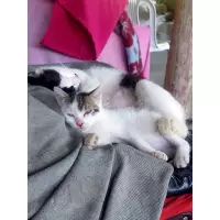 Candostlarıcansel74