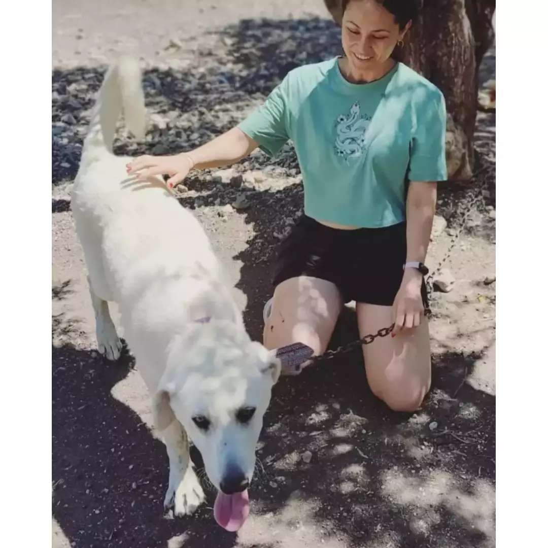 Patilere Mama İzmir