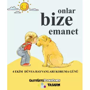 Alişin Canları