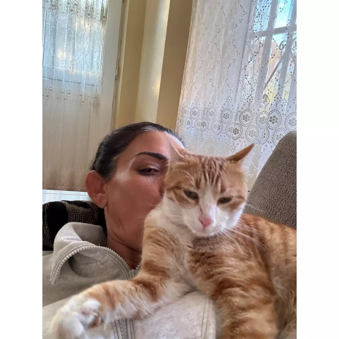 Sokak canları Türkan