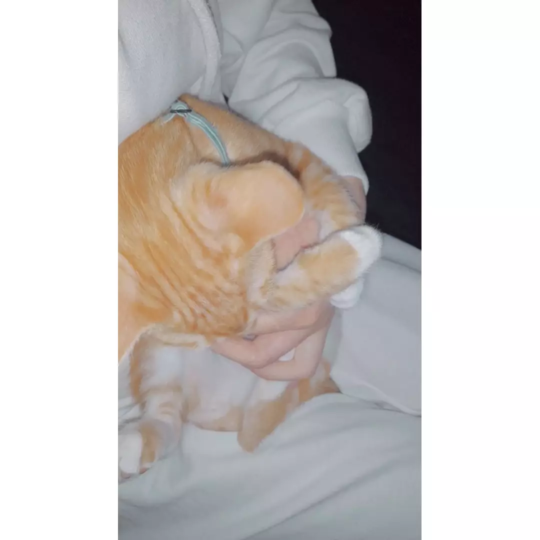 ???? Patilerin Annesi ????