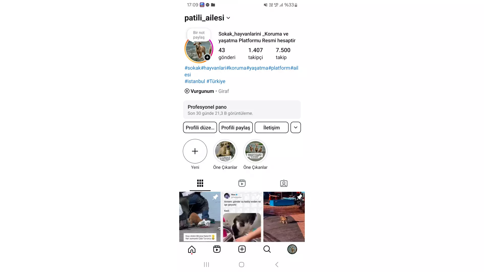 Patili_ailesi
