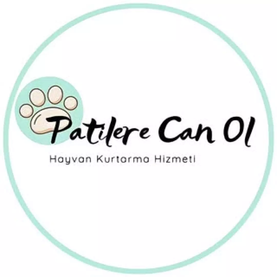 Patilere Can Oll