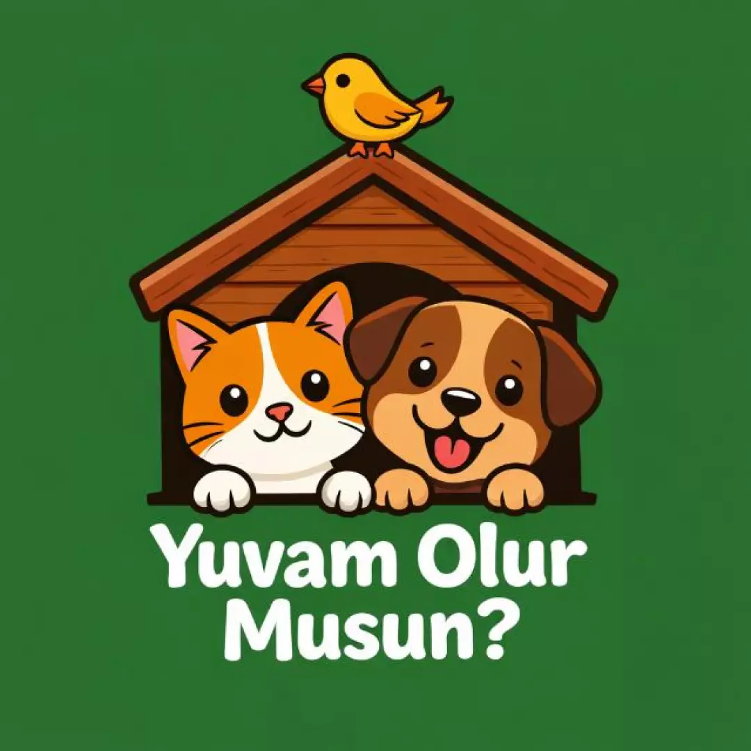 GedikTOG 'Yuvam Olur Musun?'