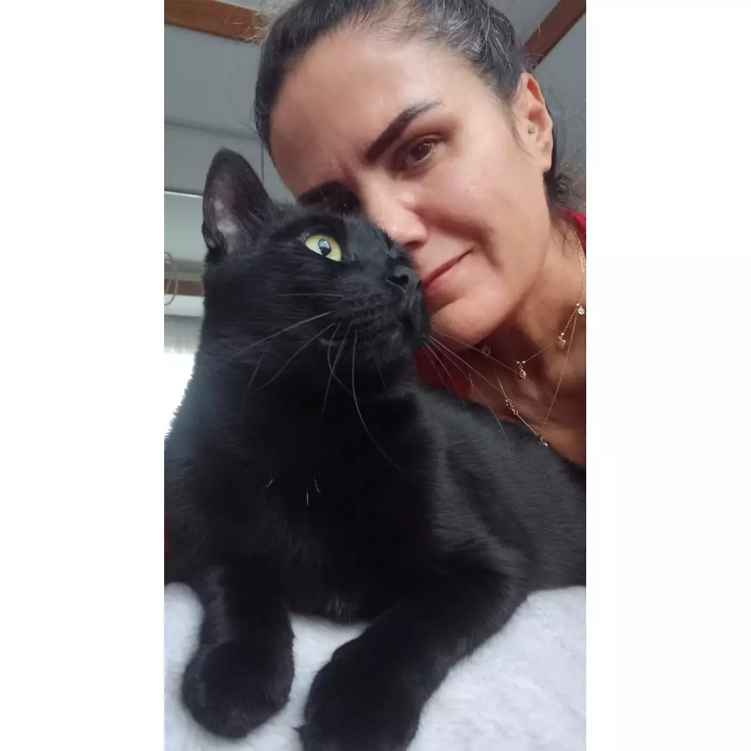 Patişenay
