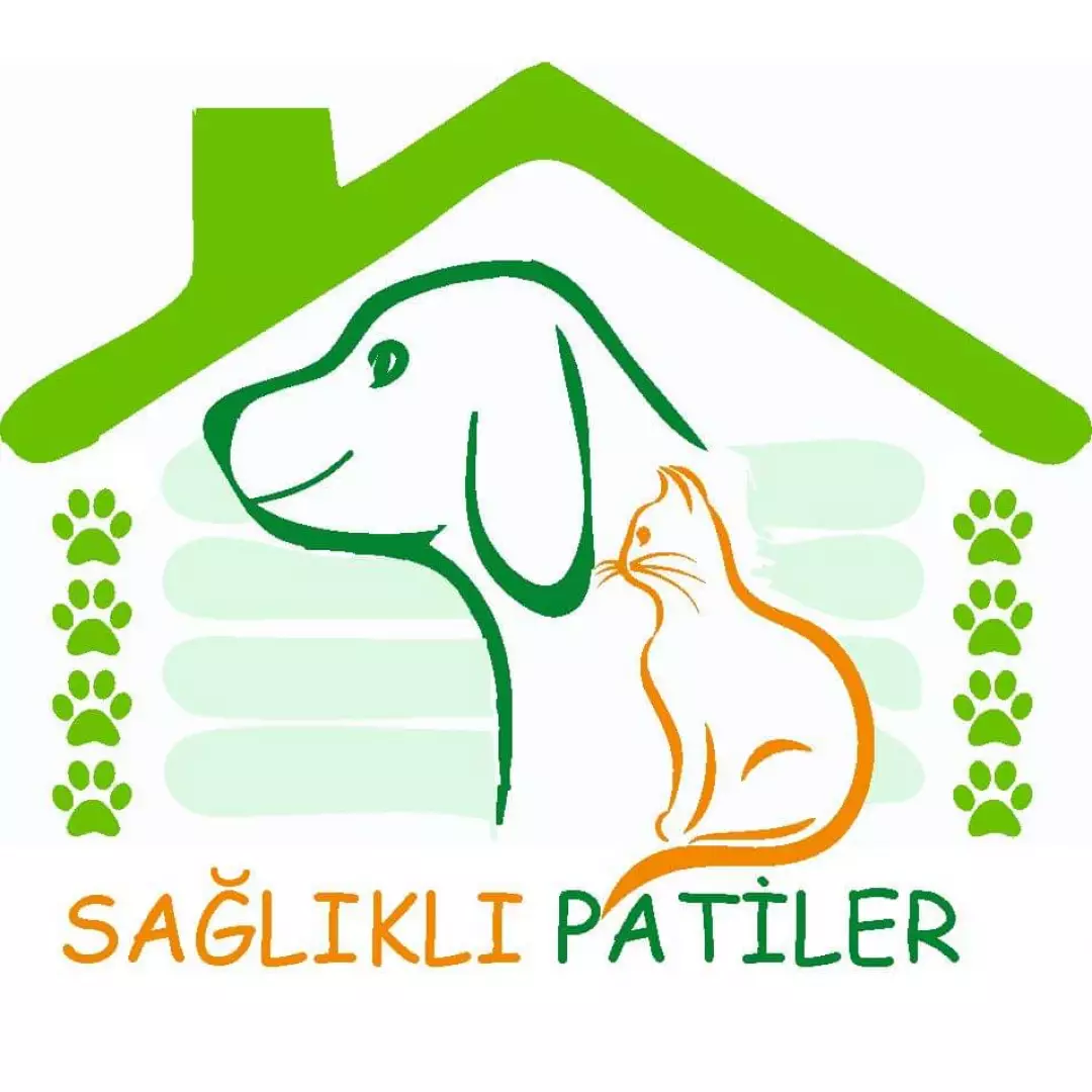 Sağlıklı Patiler