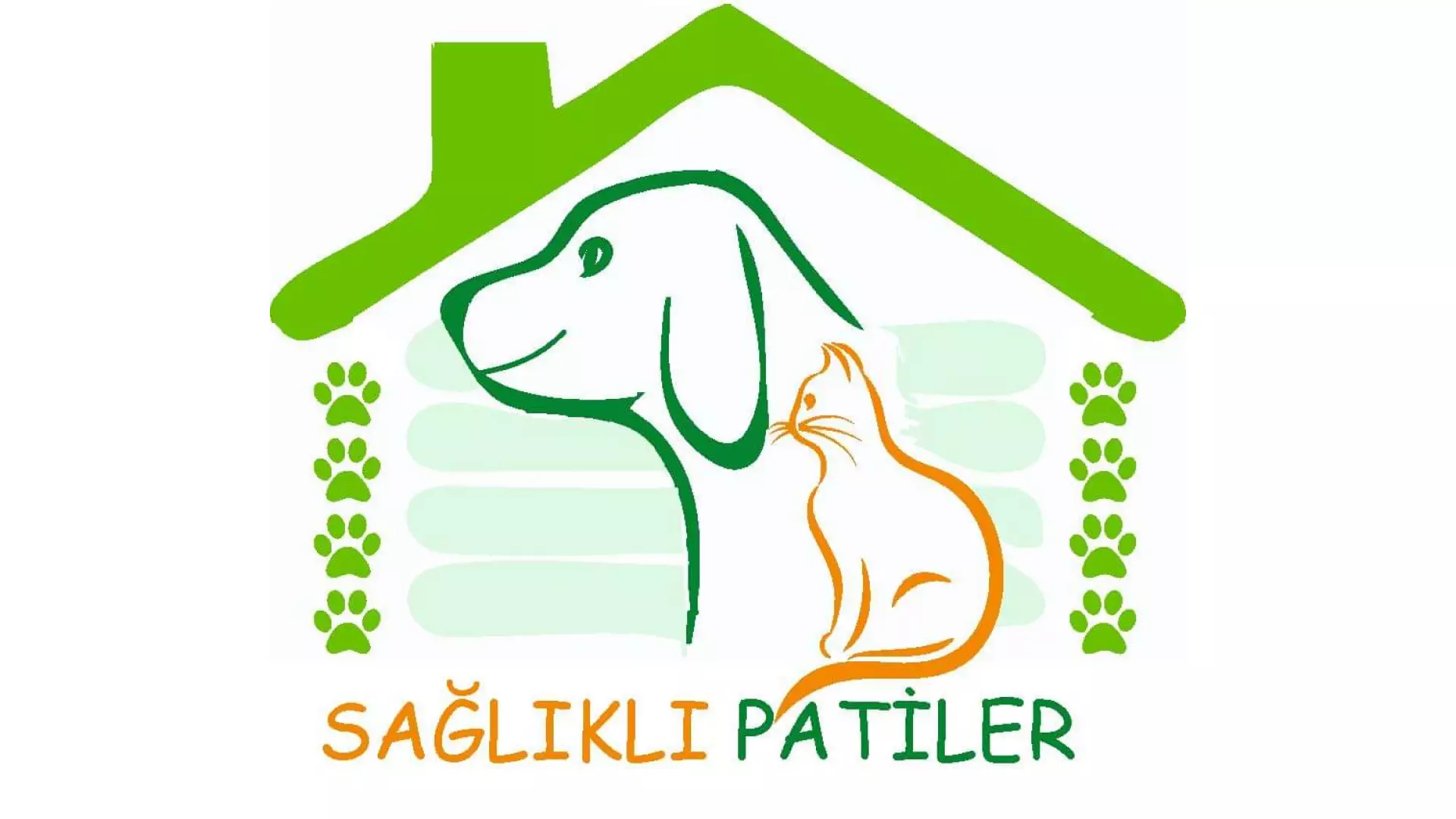 Sağlıklı Patiler