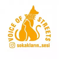 Sokakların Sesi
