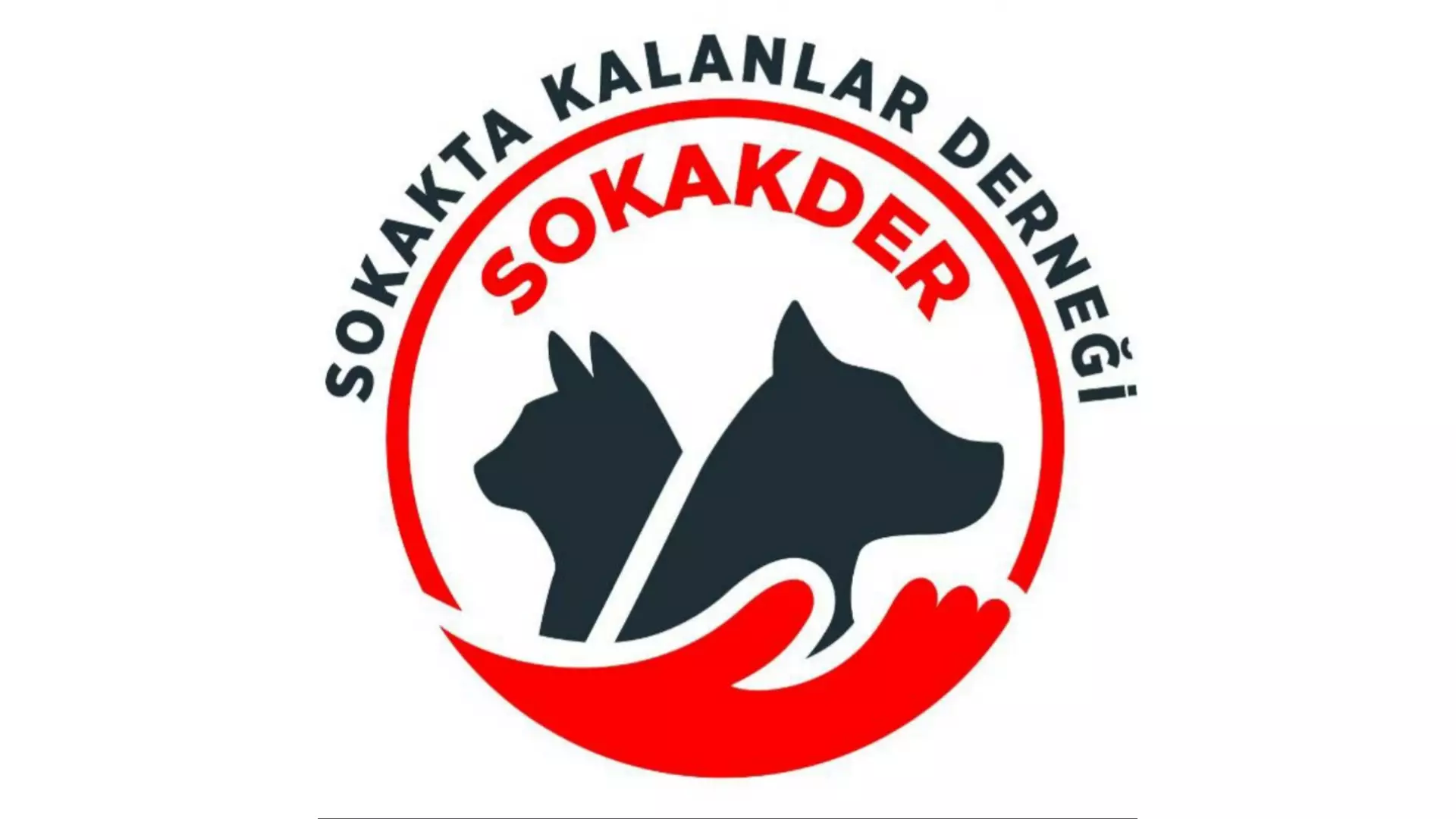 Sokakta Kalanlar