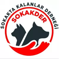 Sokakta Kalanlar