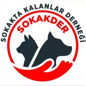 Sokakta Kalanlar