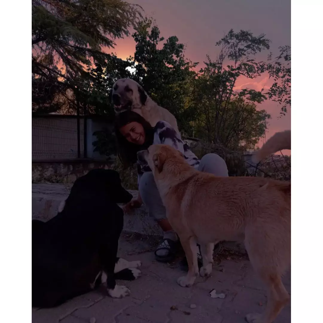 Sokaktaki Patiler Konya