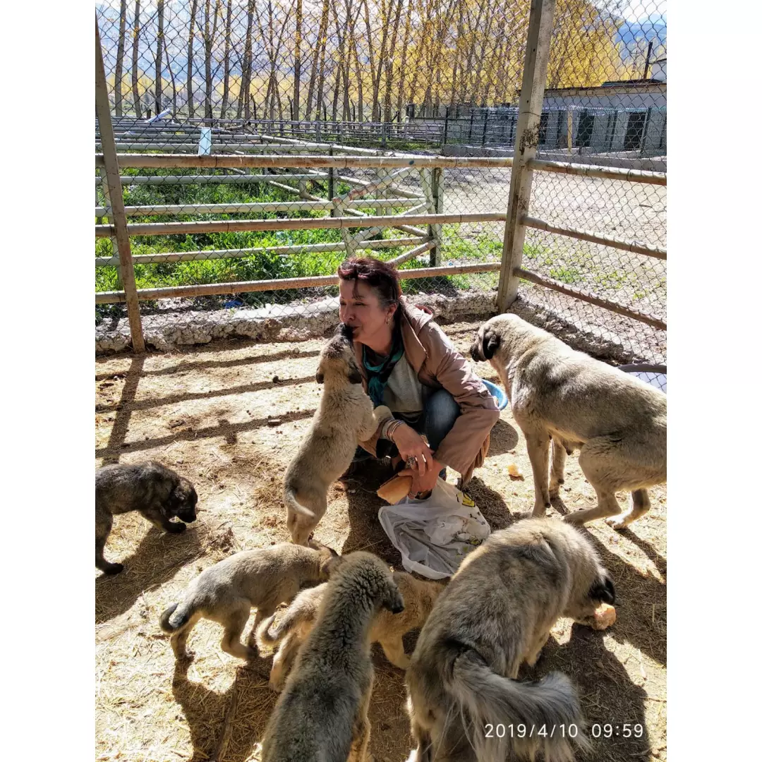 Tokat Pazar Çocukları