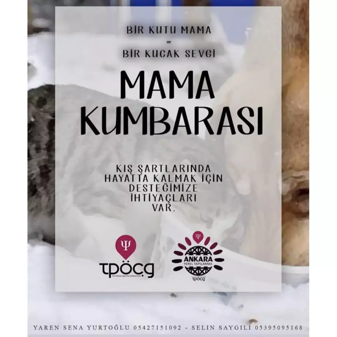 TPÖÇG Mama Kumbarası 