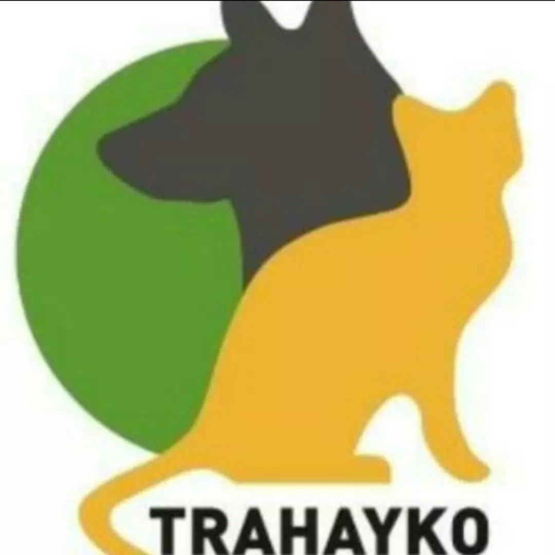 Trabzon Hayvan Koruma