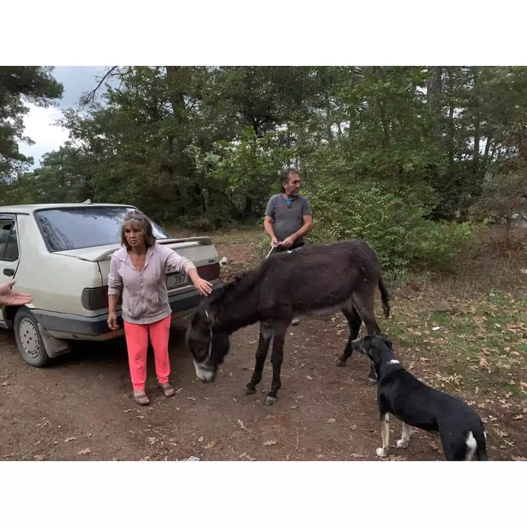 Umut Evi Ümmühan Sommer