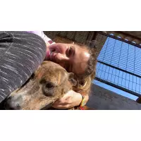 Yasemin'e Doğum Günü Hediyesi