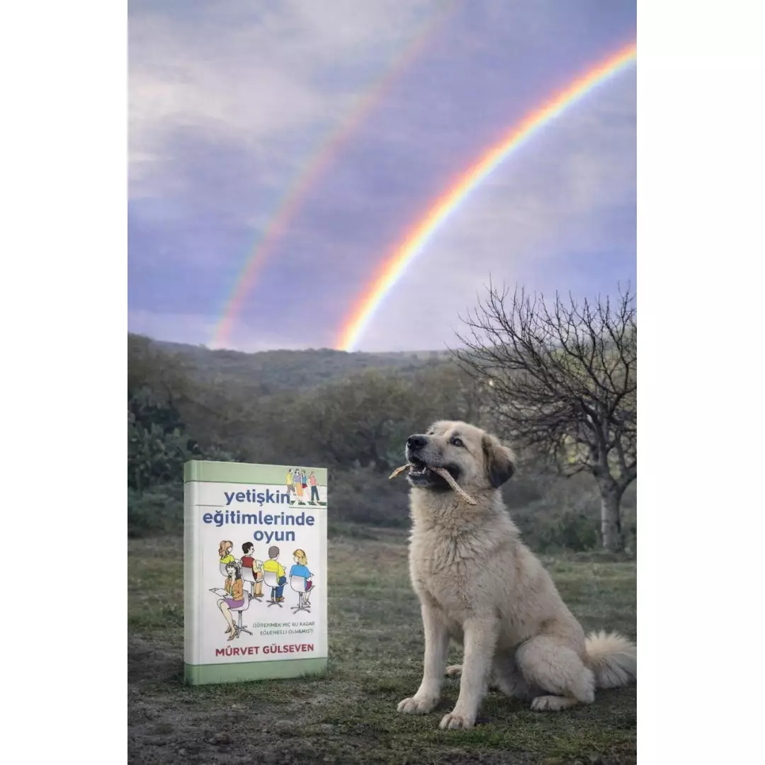 Yetişkin Eğitimlerinde Oyun