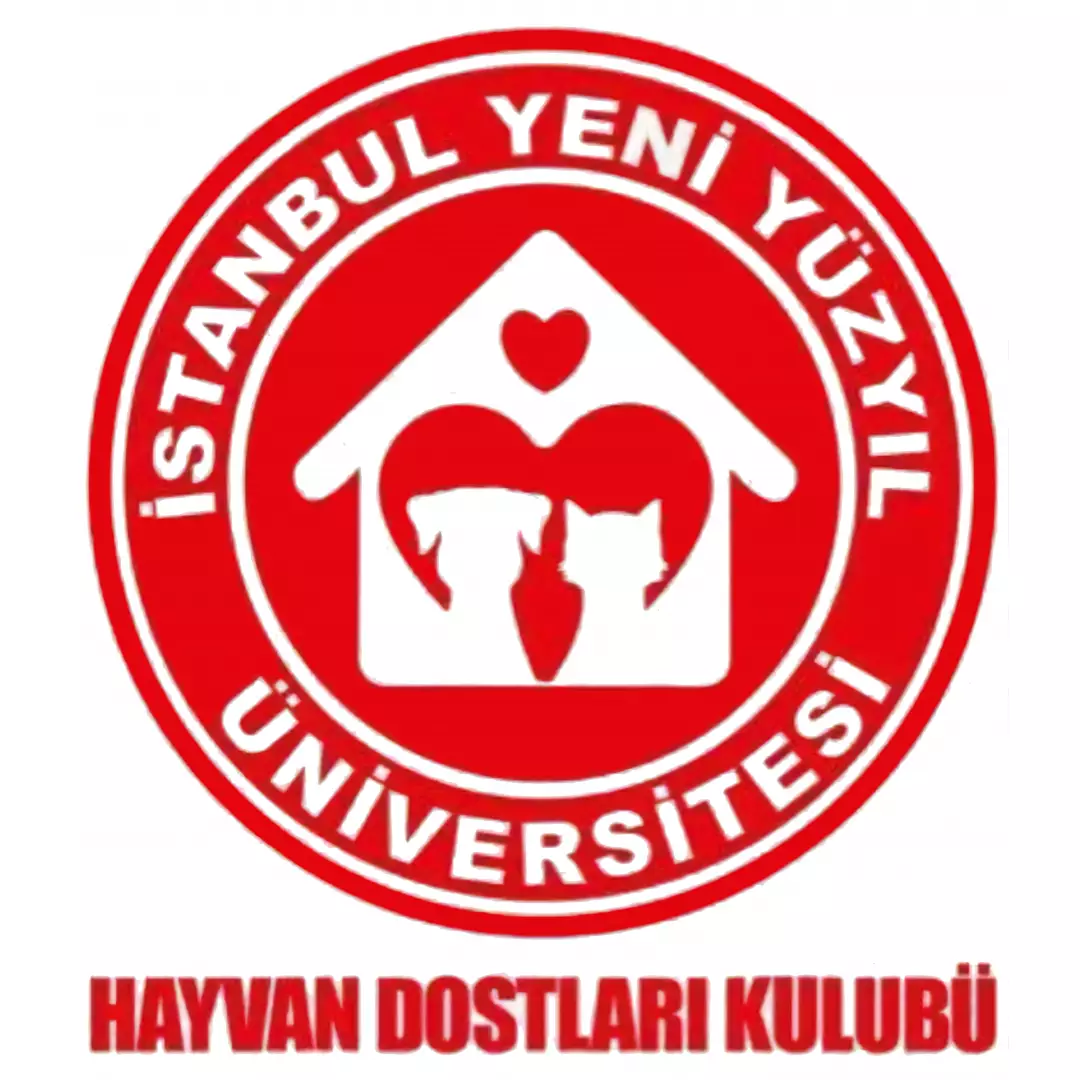 Yeni Yüzyıl Üniversitesi Hayvan Dostları Kulübü