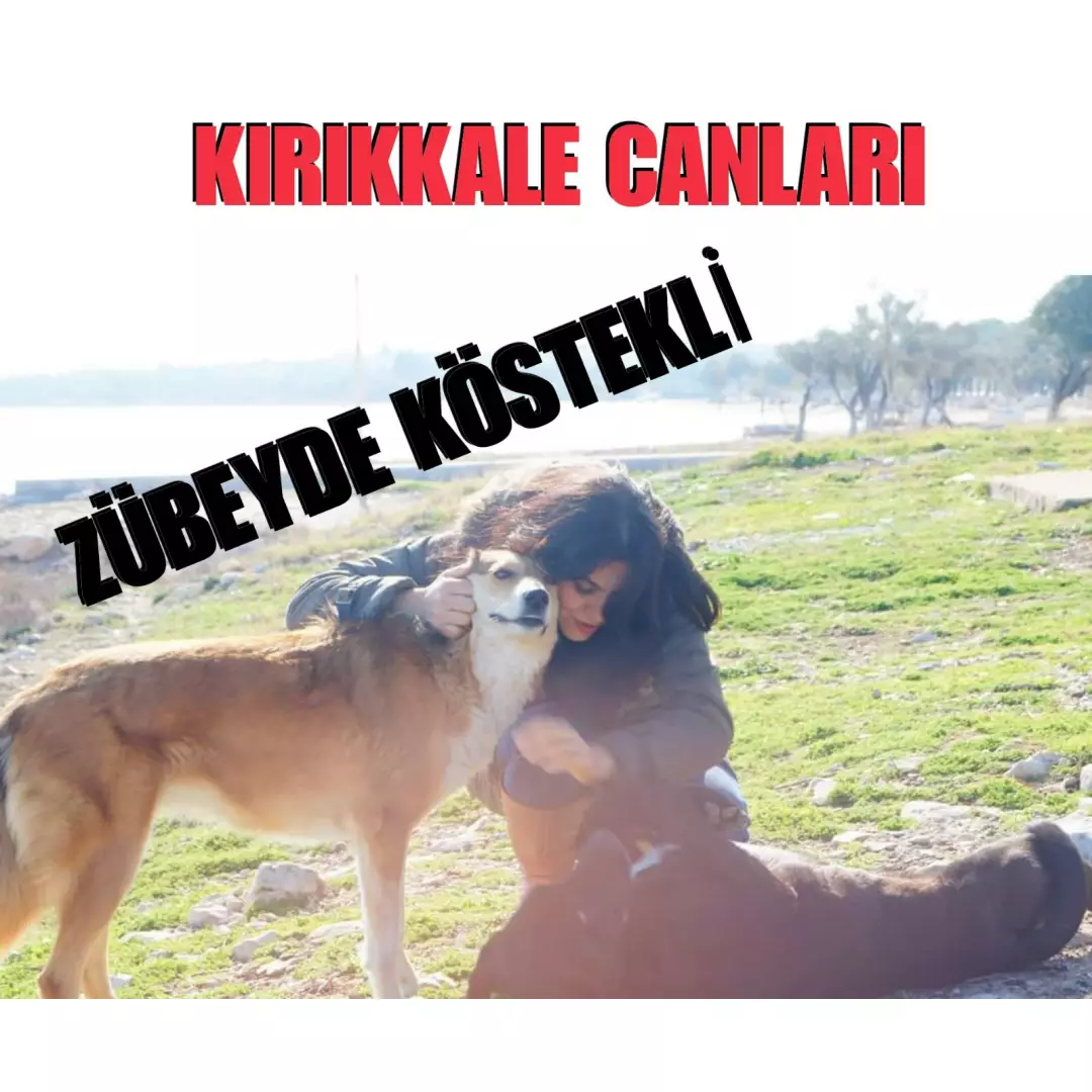 Zübeyde Köstekli