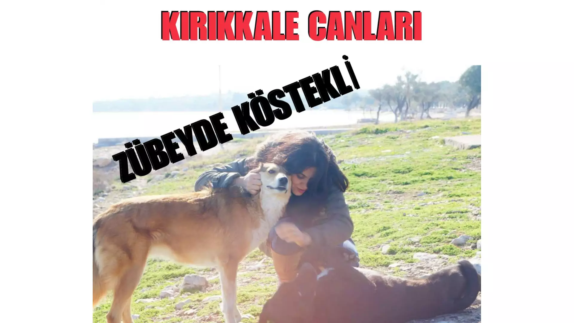 Zübeyde Köstekli