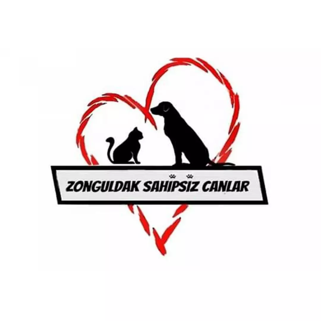 Zonguldak Sahipsiz Canlar